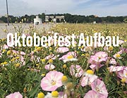 Beginn Aufbauzeit Oktoberfest München 2019 Wiesnaufbau (©Foto:Martin Schmitz)